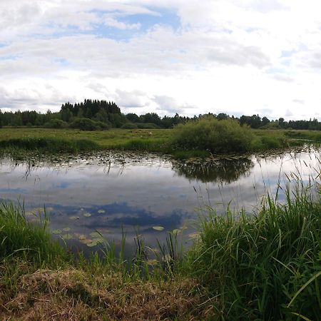 Stuga Vad Vatten Åsarp Exteriér fotografie